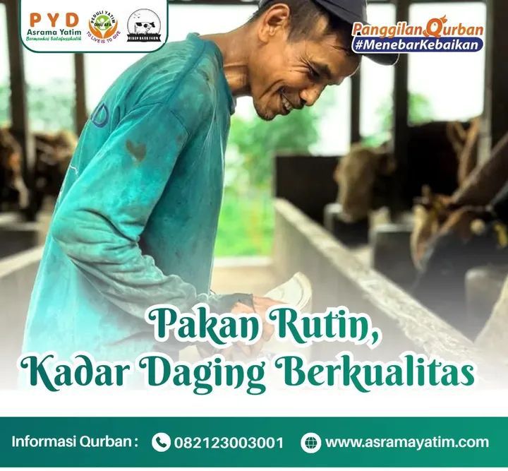 Program Image